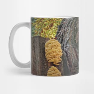 chicken of the woods Mug